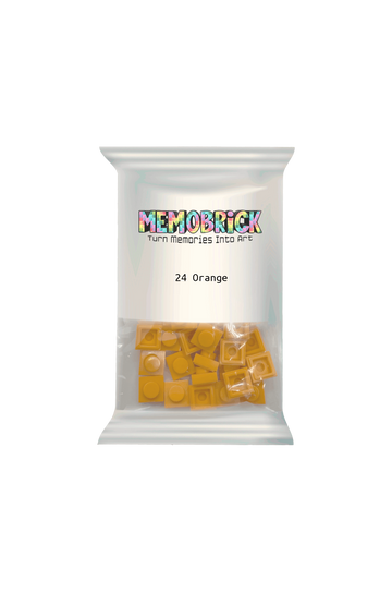 Bag of bricks-Orange 24 - Memobrick